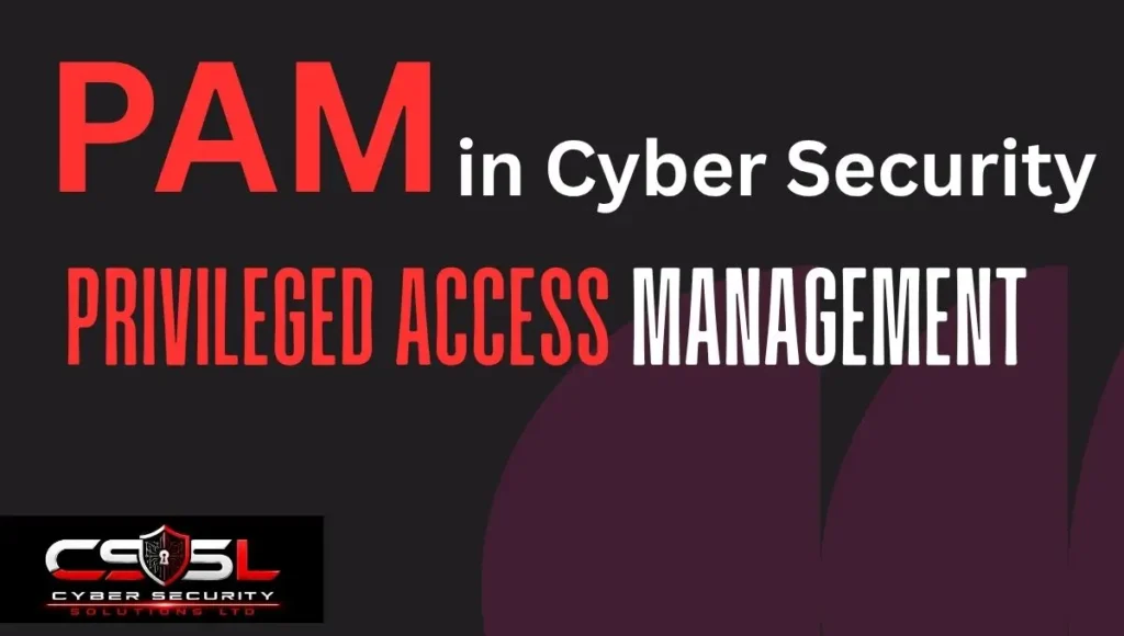 PAM in cyber security diagram showing privileged access management