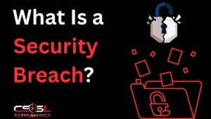 what is a security breach diagram showing incident response steps and 50 state notification law